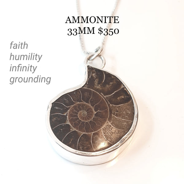 AMMONITE